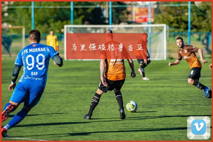 马里强碰格鲁吉亚