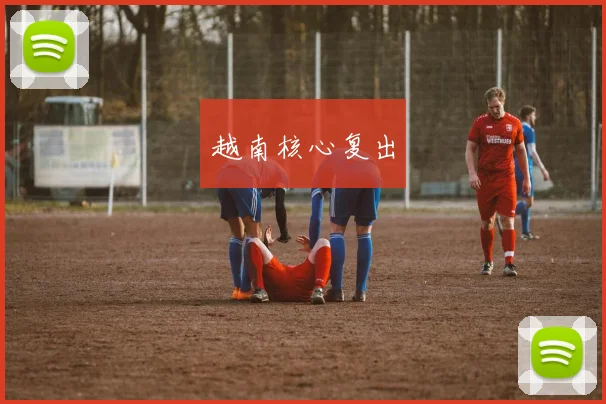 越南核心复出