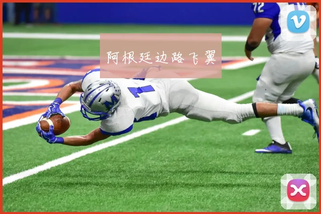 阿根廷边路飞翼