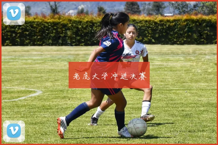 老虎大学冲进决赛
