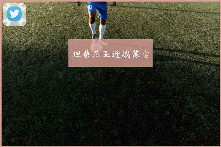 坦桑尼亚迎战蒙古