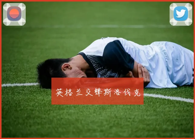 英格兰交锋斯洛伐克