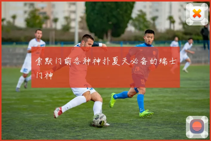 索默门前各种神扑夏天必备的瑞士门神