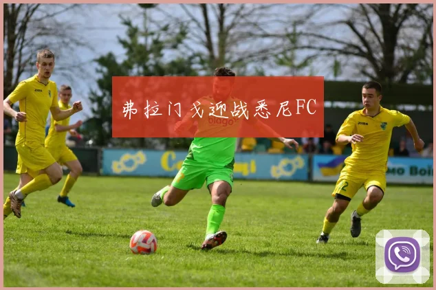 弗拉门戈迎战悉尼FC