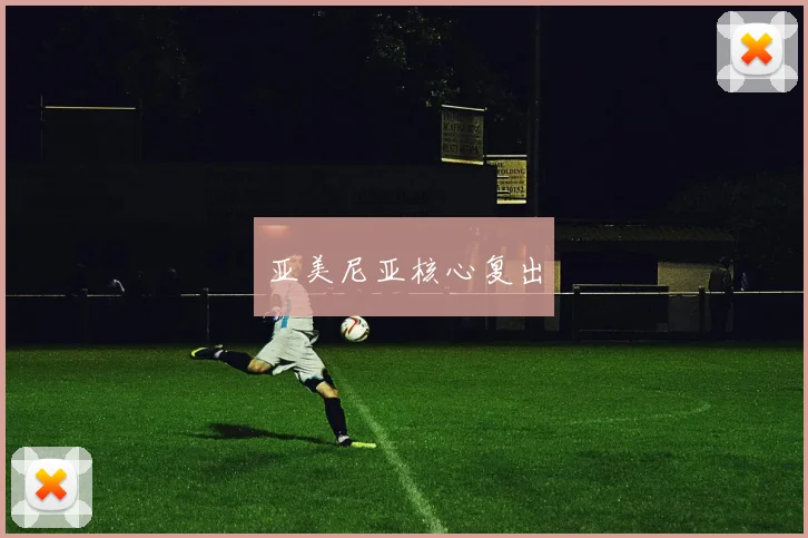 亚美尼亚核心复出