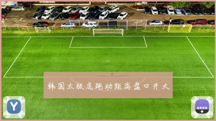 韩国太极虎跑动距离盘口开大