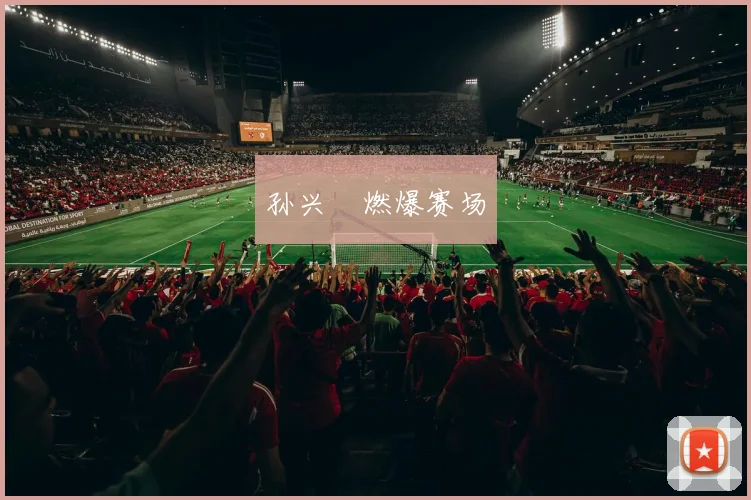 孙兴慜燃爆赛场