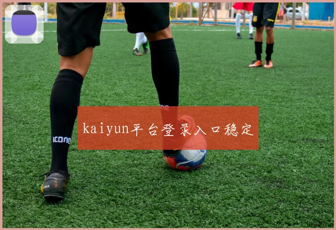 kaiyun平台登录入口稳定