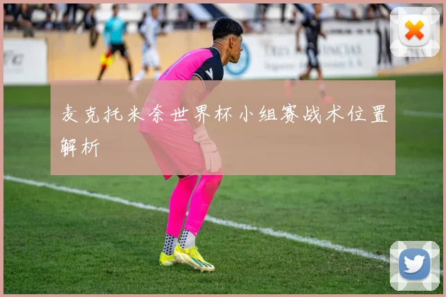 麦克托米奈世界杯小组赛战术位置解析