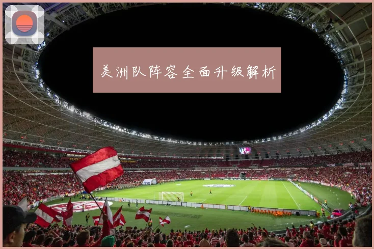 美洲队阵容全面升级解析
