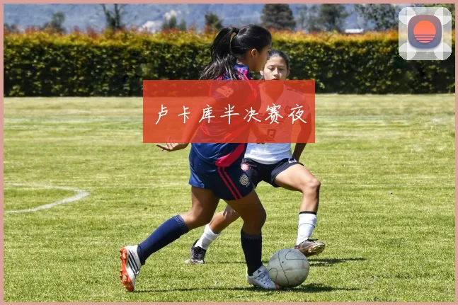 卢卡库半决赛夜
