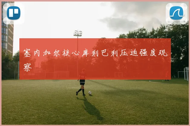 塞内加尔核心库利巴利压迫强度观察