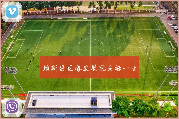 赖斯禁区爆发展现关键一击