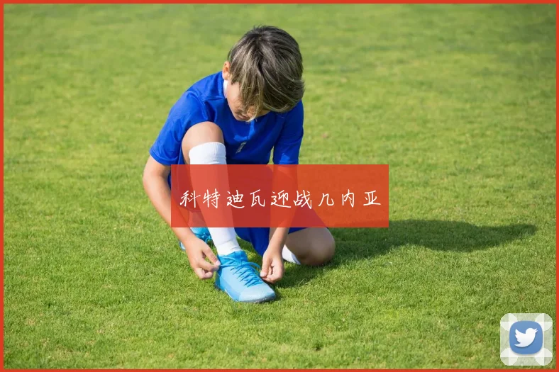 科特迪瓦迎战几内亚