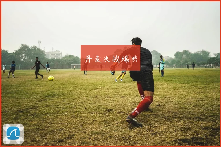 丹麦决战瑞典