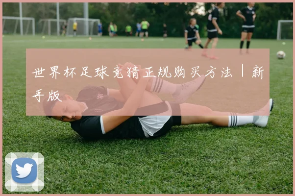 世界杯足球竞猜正规购买方法｜新手版