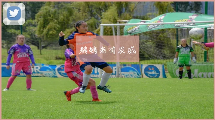 鹈鹕老将发威