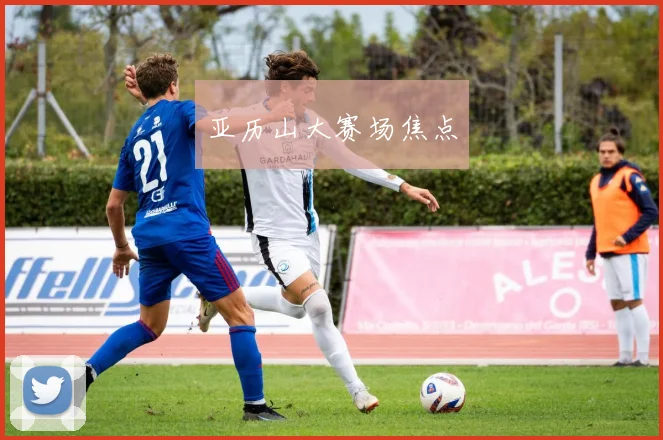 亚历山大赛场焦点
