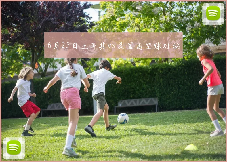 6月25日土耳其vs美国高空球对抗