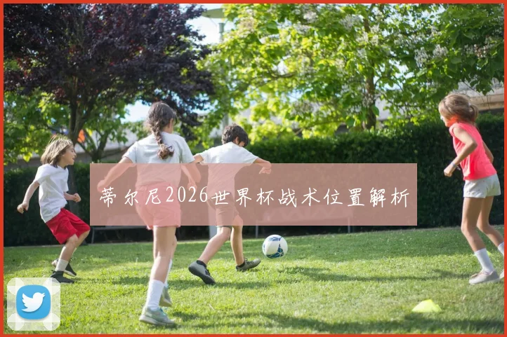 蒂尔尼2026世界杯战术位置解析