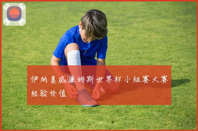 伊纳基威廉姆斯世界杯小组赛大赛经验价值