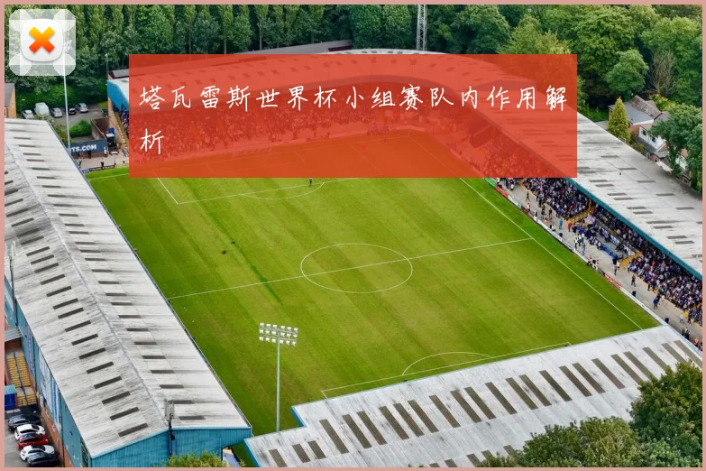塔瓦雷斯世界杯小组赛队内作用解析