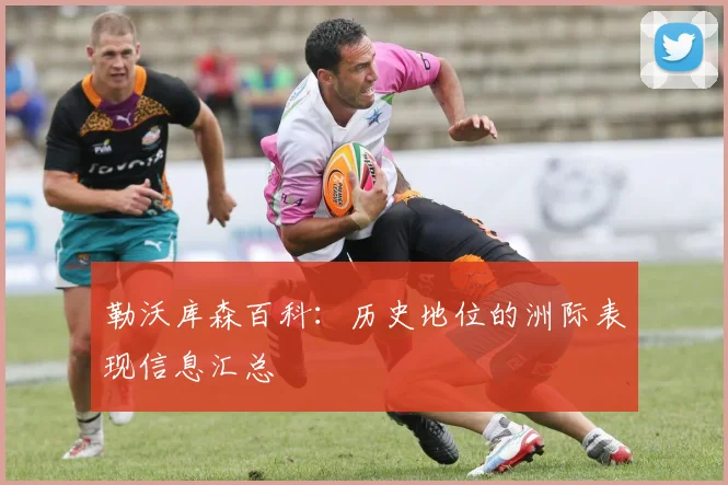 勒沃库森百科：历史地位的洲际表现信息汇总